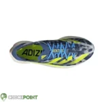 Photo 34 2025 06 17 11 53 30 (copy)