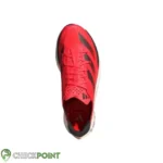 Photo 40 2025 08 12 11 52 23 1k jpeg